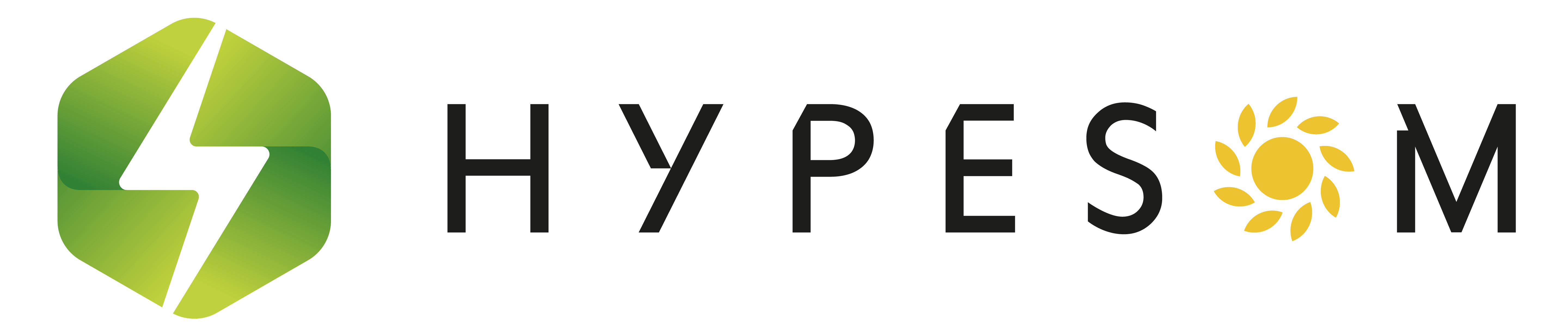 Hypesom Logo